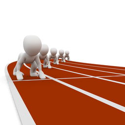 米兰体育平台登录入口-中小学体育教师职业成长路径研究，中小学体育教师现状