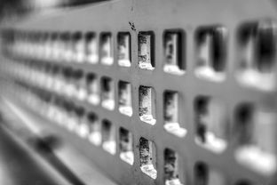 米兰体育-运动康复技术在青少年体能提升中的应用研究，运动康复体系