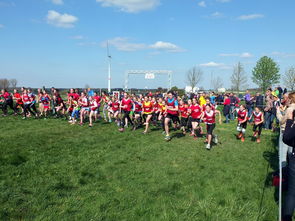 米兰 MILAN GAME-青少年体育锻炼动机研究与实践，青少年体育锻炼动机研究与实践报告