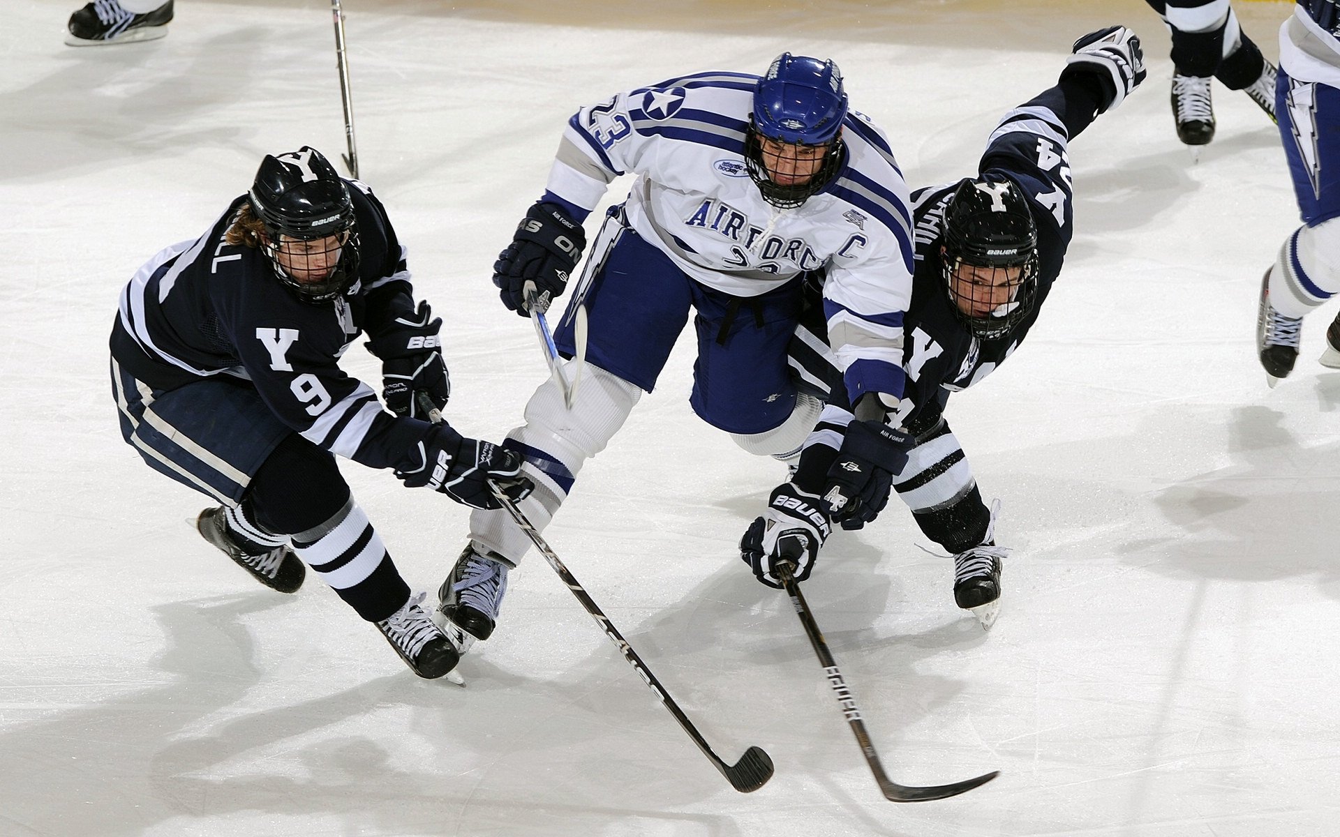 世界跑酷锦标赛 城市地标赛道成社交媒体热门话题